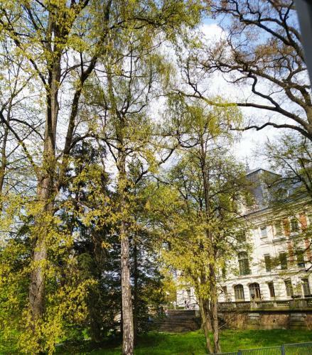 Apartament Przy Zamku