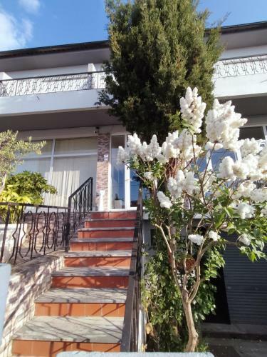 Albergue Sr House Chaves