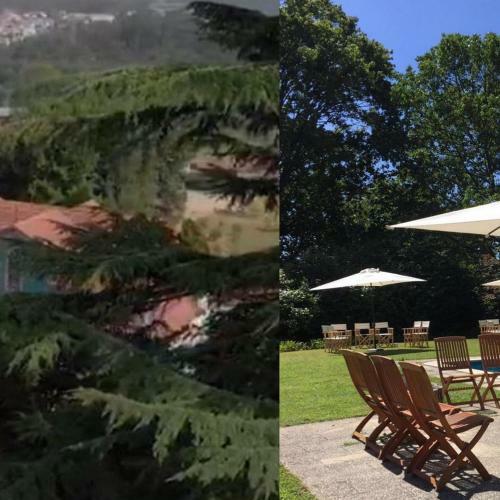 Bucolic And Elegant Townhouse Near Oporto