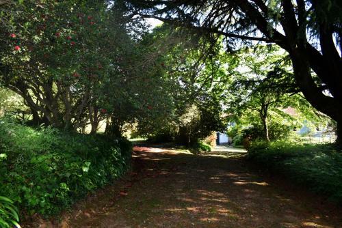 Bucolic And Elegant Townhouse Near Oporto