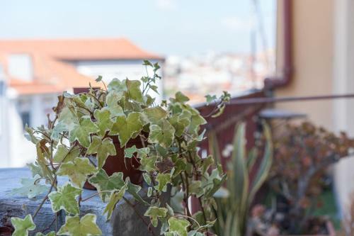 Apartamento Guestready - Art Wine Loft
