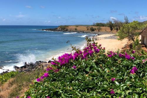 Apartamento High-end Resort Condo Nestled On Molokai Shoreline