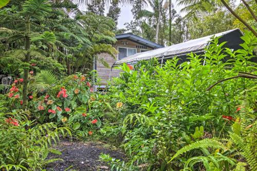 Idyllic Pahoa Paradise Hike, Swim And Explore!
