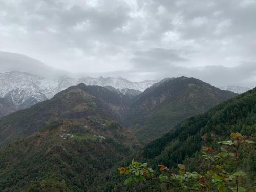 Naddi Home Stay Dhauladhar View