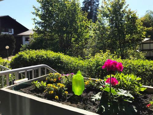 Apartamento Ferienwohnungen K�hnke