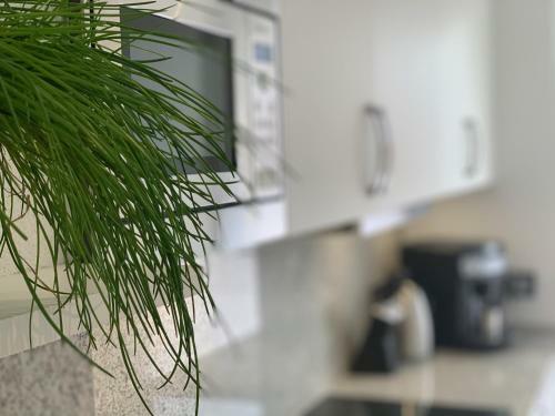 Apartamento Ferienwohnungen K�hnke
