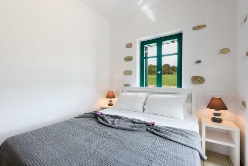 Seaside Villa Glyfa Paros