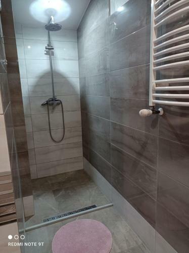Apartamenty S?popol