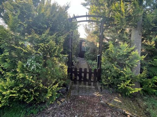 Snug Holiday Home In Harzgerode With Private Heatable Pool