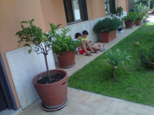 Bed & Breakfast Il Sogno