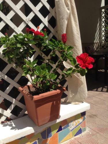 Bed & Breakfast Il Sogno