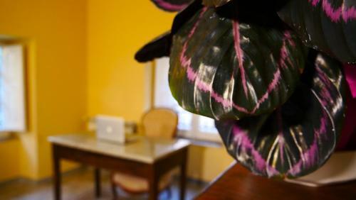 Bed & Breakfast Arte & Mare