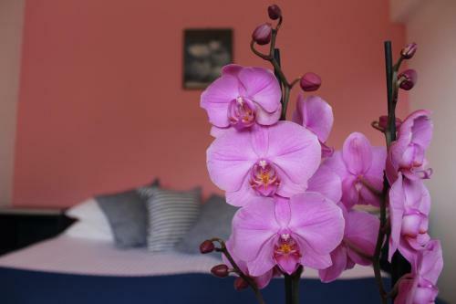 Aparthotel Albergo Residence Pucara