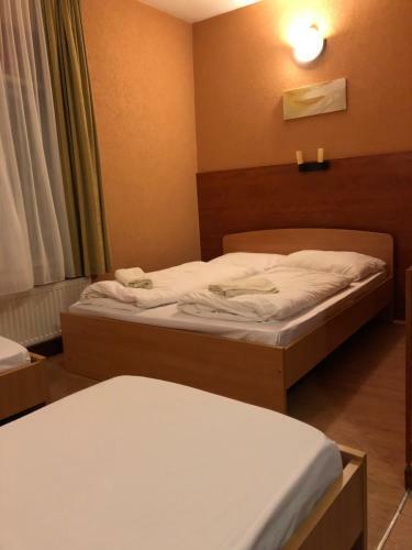 Hostal Viktoria Panzi�