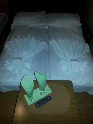 Hostal Viktoria Panzi�