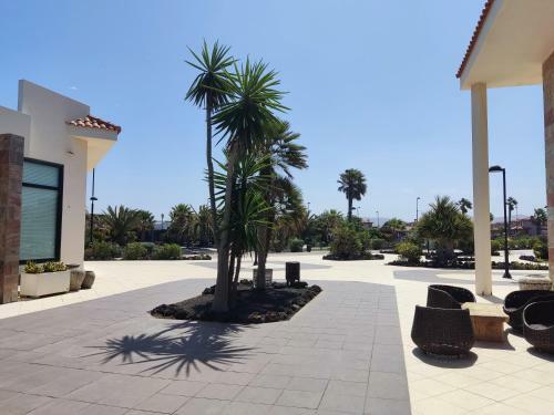 Apartamento Casa En Origo Mare,lajeres, La Oliva