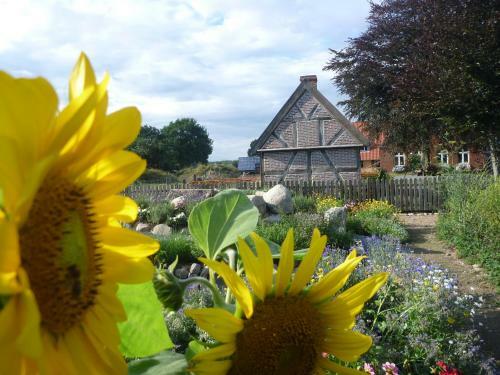 Agroturismo Hof Viehbrook