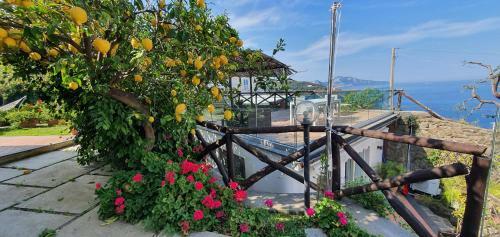 Villa Tessa's Holiday