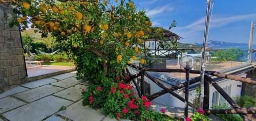 Villa Tessa's Holiday