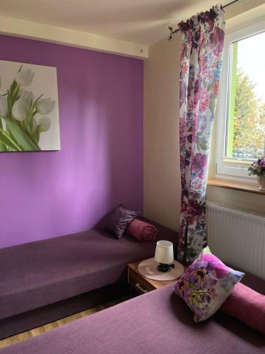 Hostal Domek Zielony
