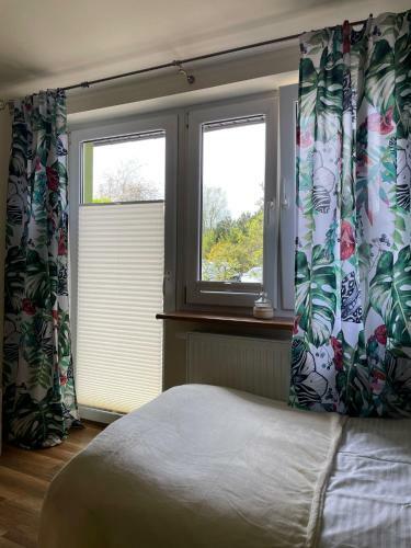 Hostal Domek Zielony