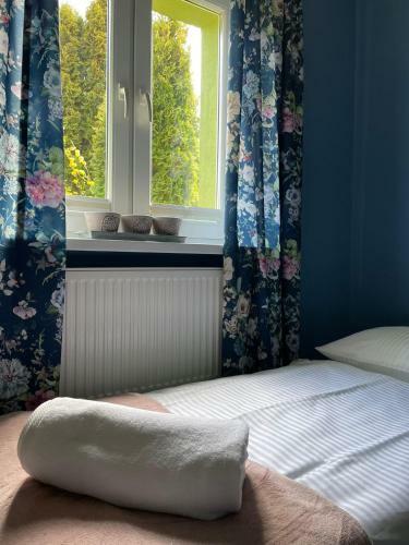 Hostal Domek Zielony