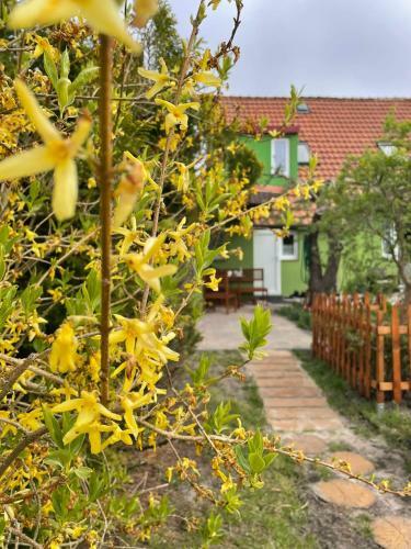 Hostal Domek Zielony