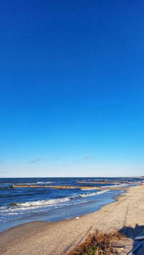 Hostal Domek Zielony