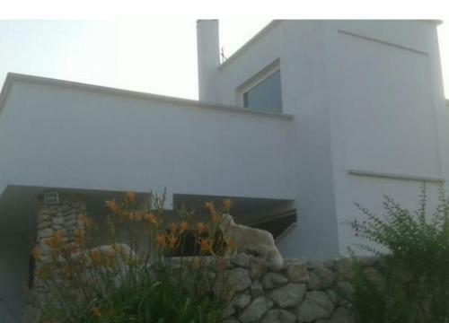 Prestigiosa Villa Con Piscina Condominiale