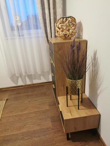 Apartament Woda Morska