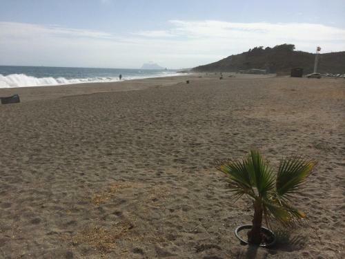 Apartamento Punta Paloma 2142