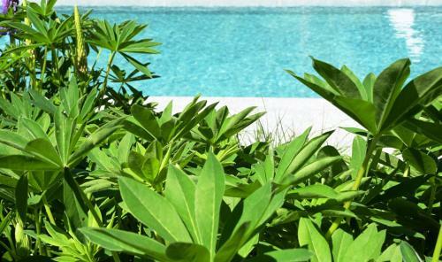 Apartamento Hotel Quellenhof