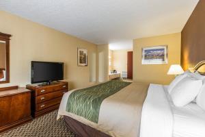Hotel Comfort Inn