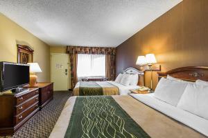 Hotel Comfort Inn