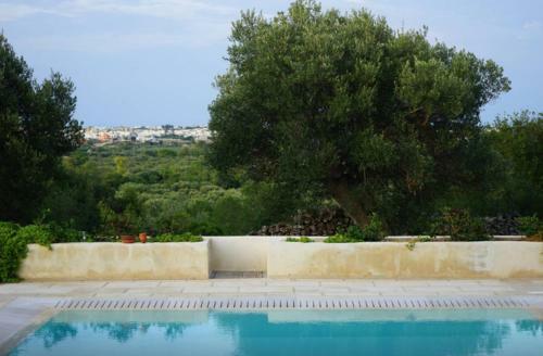 Infinity Pool Villa