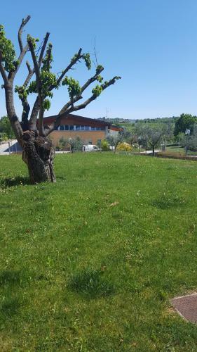 Hotel Albergo Quattro Pini