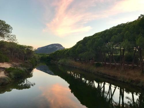 Apartamento Kelu E Terra - Locazione Turistica - Iun Q0467
