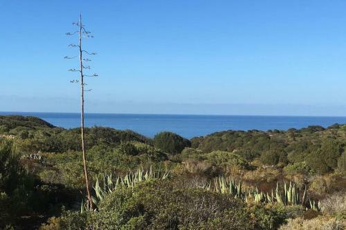 Apartamento Kelu E Terra - Locazione Turistica - Iun Q0467