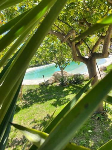 Casa Vacanze Il Primo Fiore