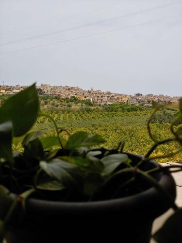 Casa Vacanze Il Primo Fiore