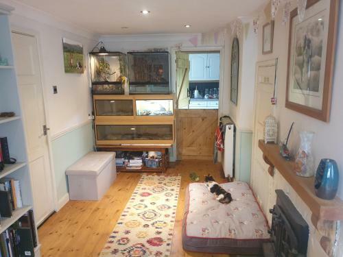 Quiet Double Bedroom In Lovely Dartmoor Village