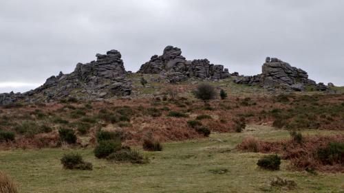 Quiet Double Bedroom In Lovely Dartmoor Village