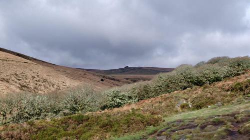 Quiet Double Bedroom In Lovely Dartmoor Village