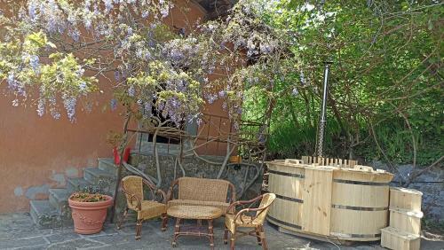 Il Glicine Rustico Garfagnino