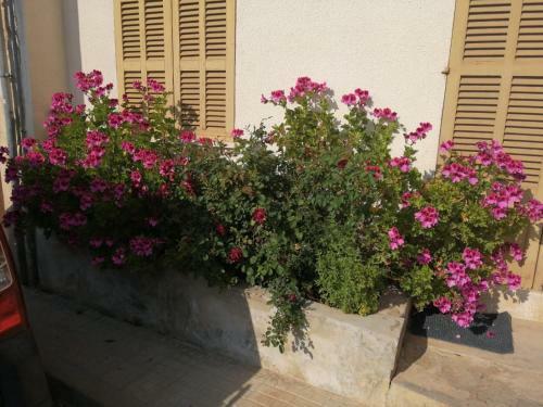 Villa Ca Na Tere