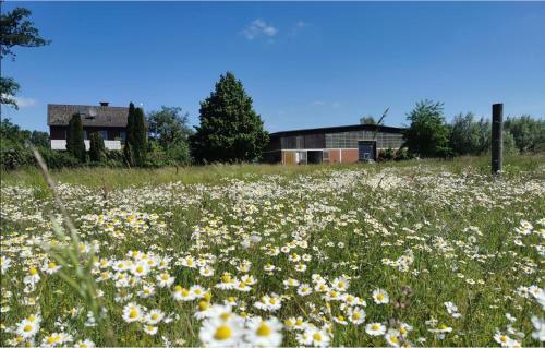 Hostal Pension Reiterhof Hunsche