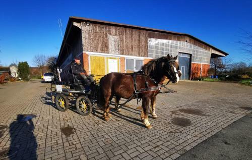 Hostal Pension Reiterhof Hunsche