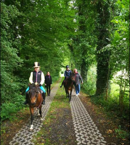Hostal Pension Reiterhof Hunsche