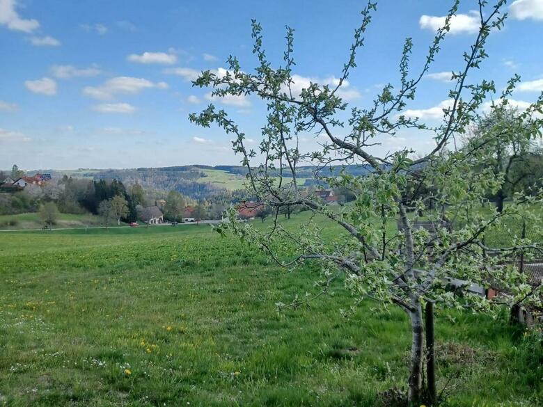 Apartamento Landhaus Alpenpanorama �ber Der Wutachschlucht