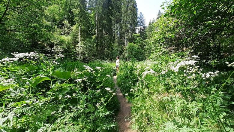 Apartamento Landhaus Alpenpanorama �ber Der Wutachschlucht